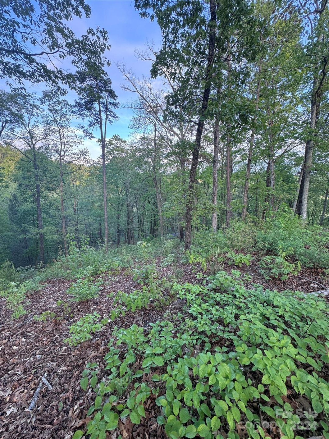 0 Willow Top Lane #315 - Photo 5