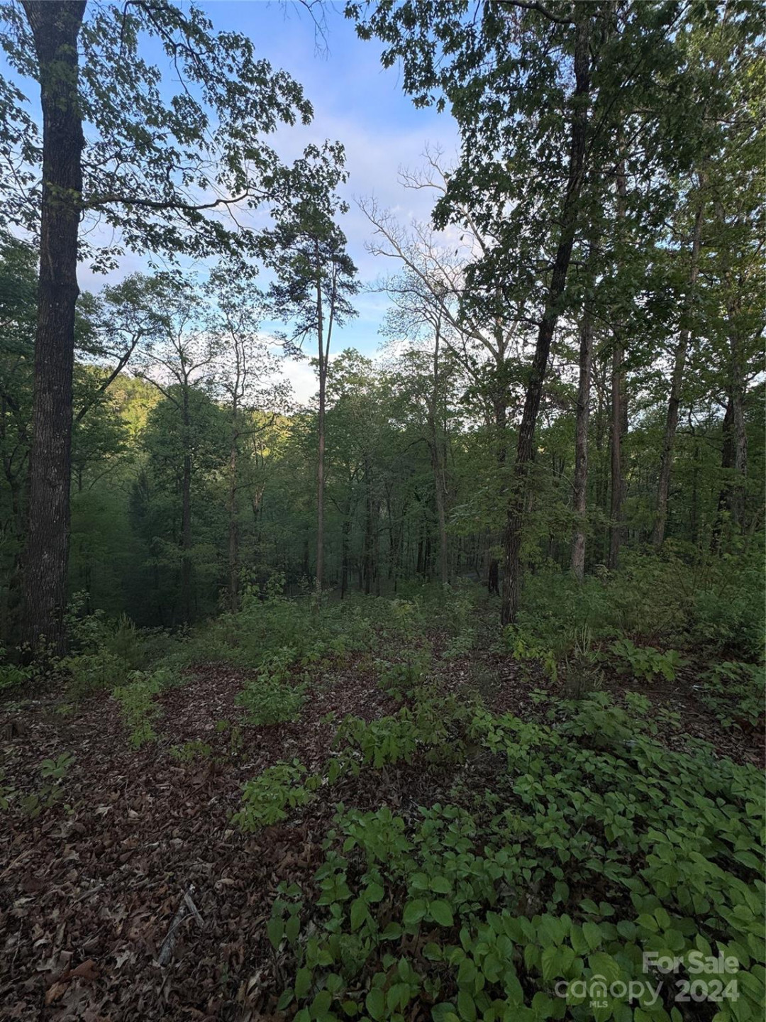 0 Willow Top Lane #315 - Photo 6