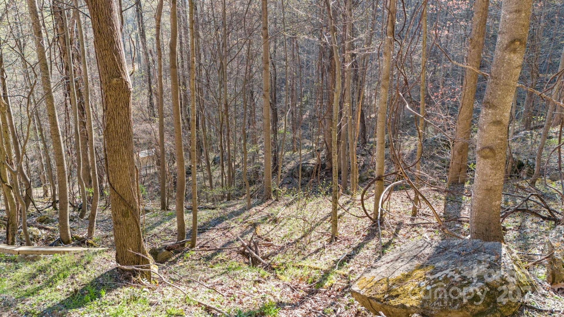 Lot 33 Deer Rock Road - Photo 11