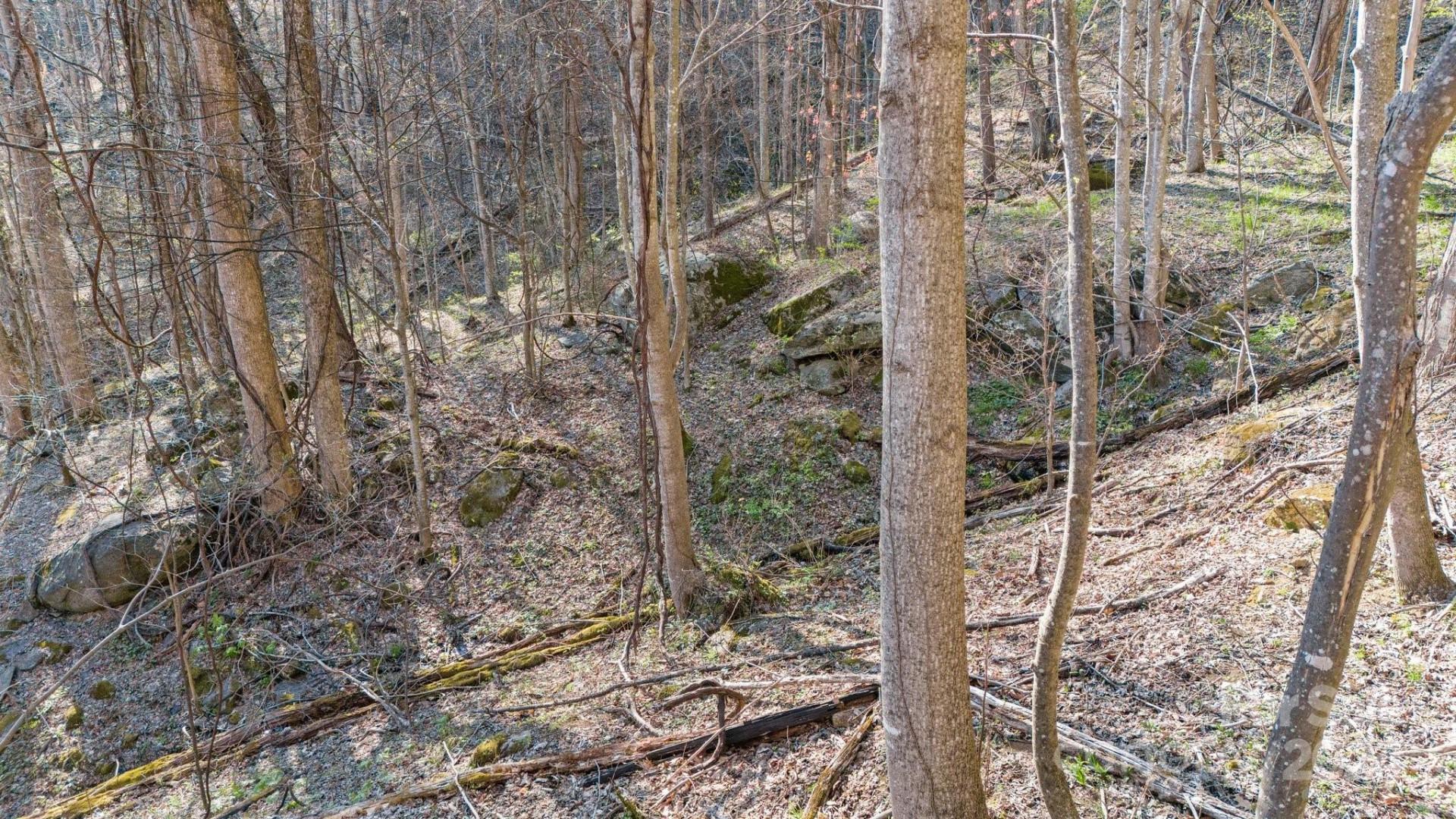 Lot 33 Deer Rock Road - Photo 13