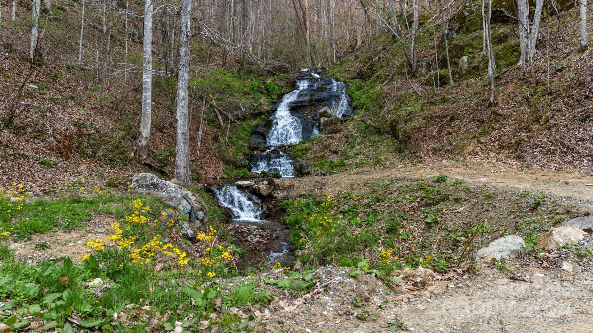 Lot 33 Deer Rock Road - Photo 14