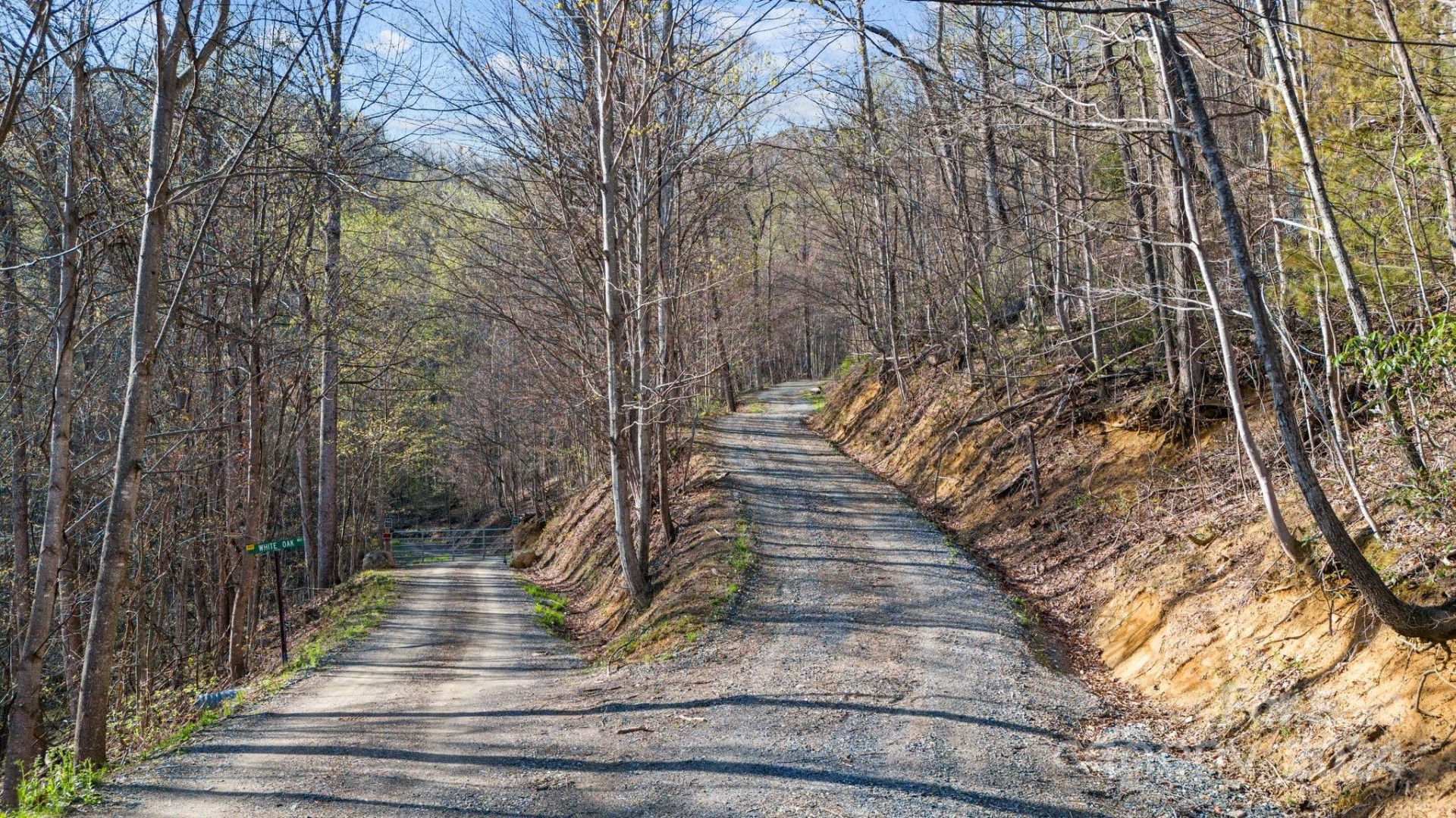 Lot 33 Deer Rock Road - Photo 3