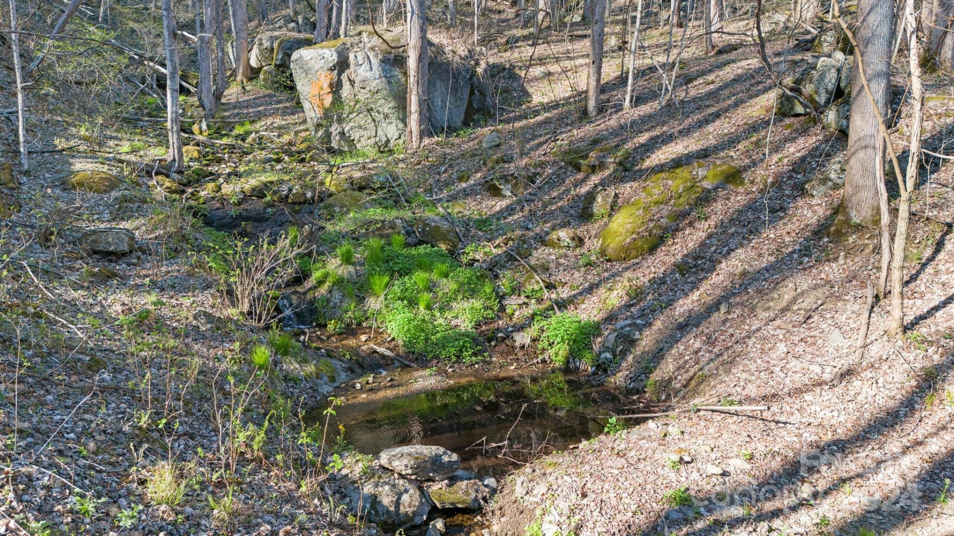 Lot 33 Deer Rock Road - Photo 4