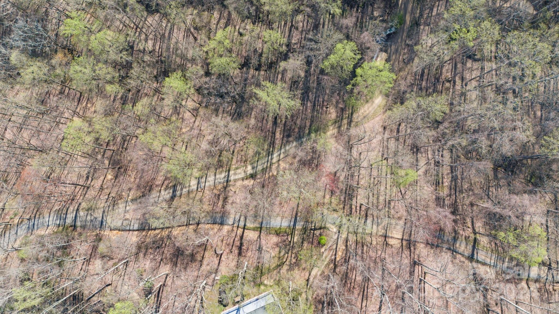 Lot 33 Deer Rock Road - Photo 5