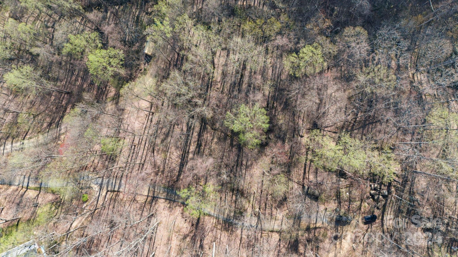 Lot 33 Deer Rock Road - Photo 6