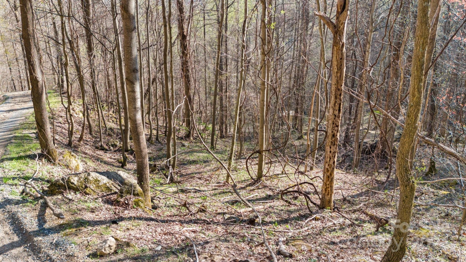 Lot 33 Deer Rock Road - Photo 9