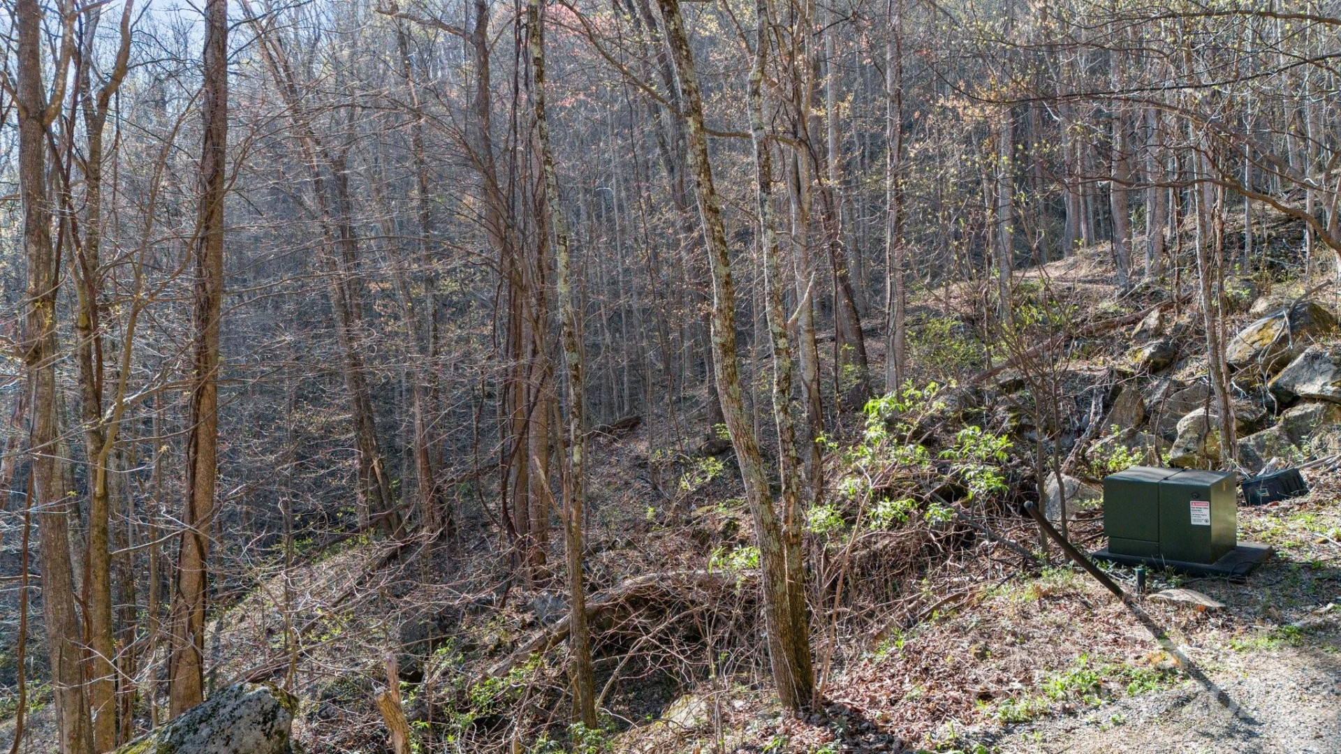 Lot 33 Deer Rock Road - Photo 10