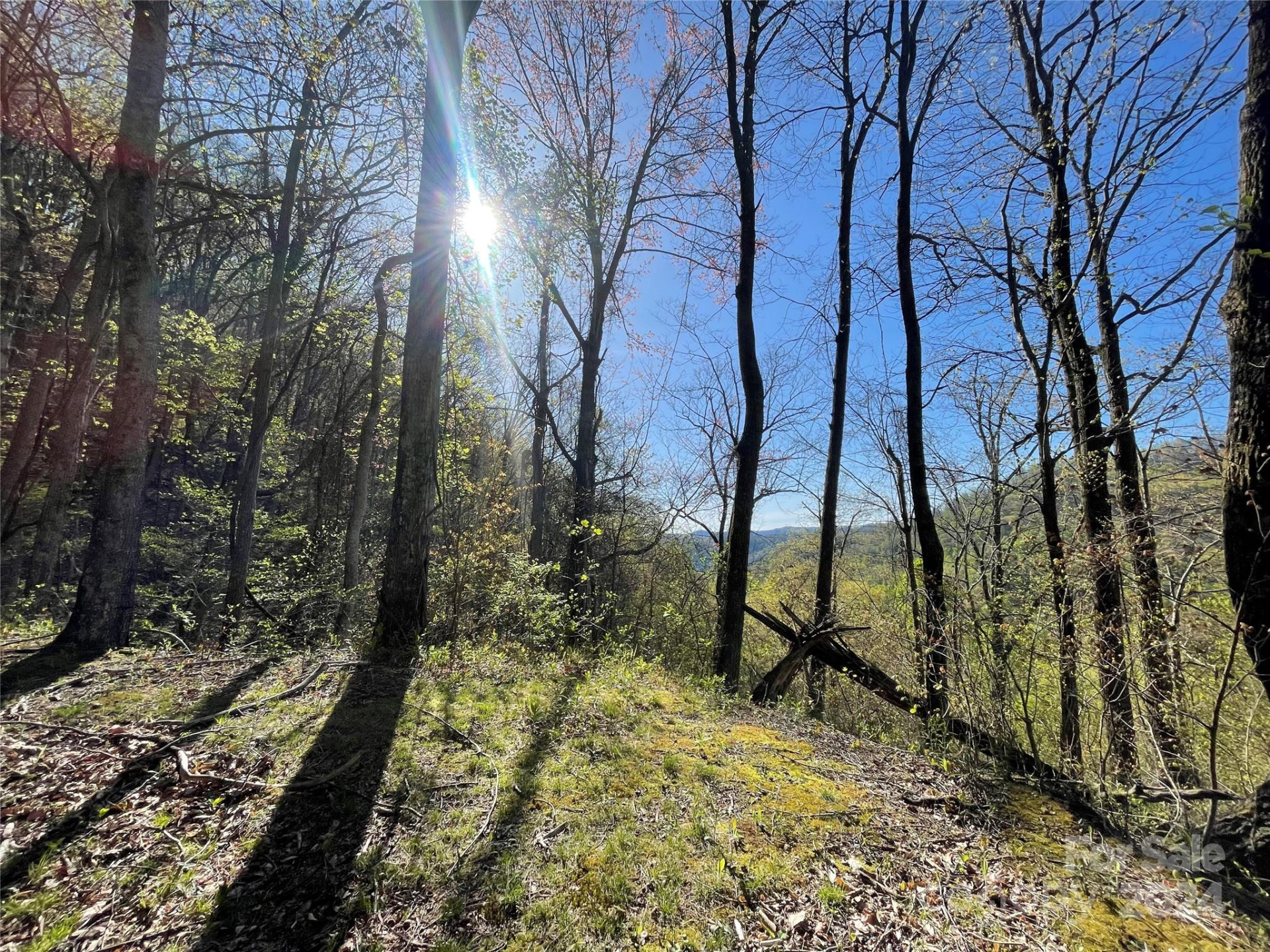 Lot 25 Deer Rock Road - Photo 2