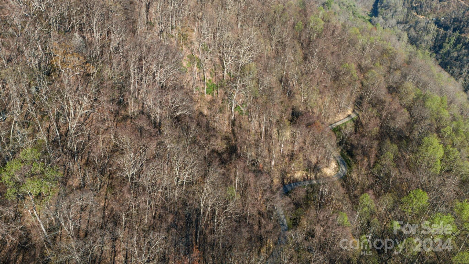 Lot 25 Deer Rock Road - Photo 11