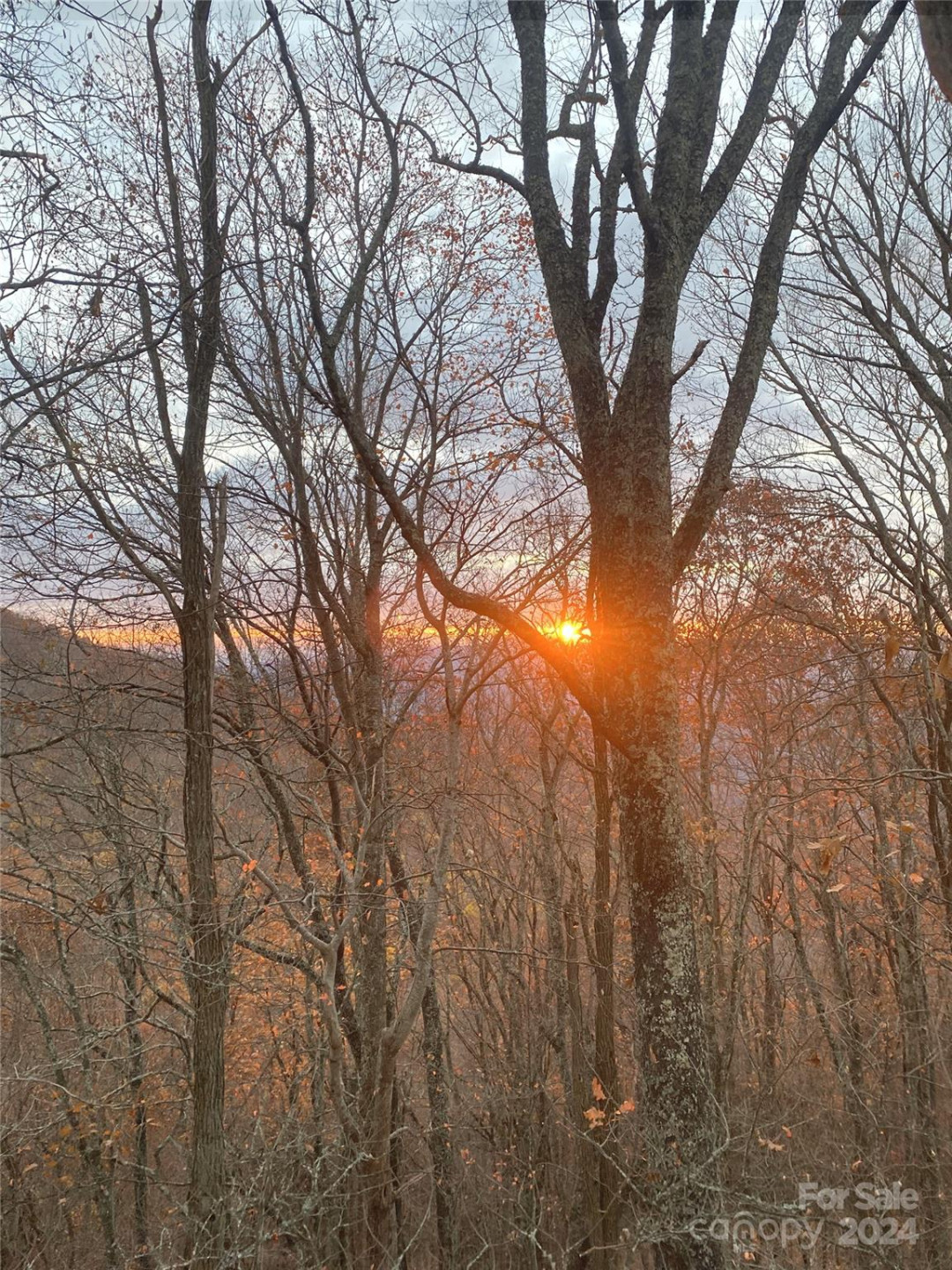 Lot 25 Deer Rock Road - Photo 4