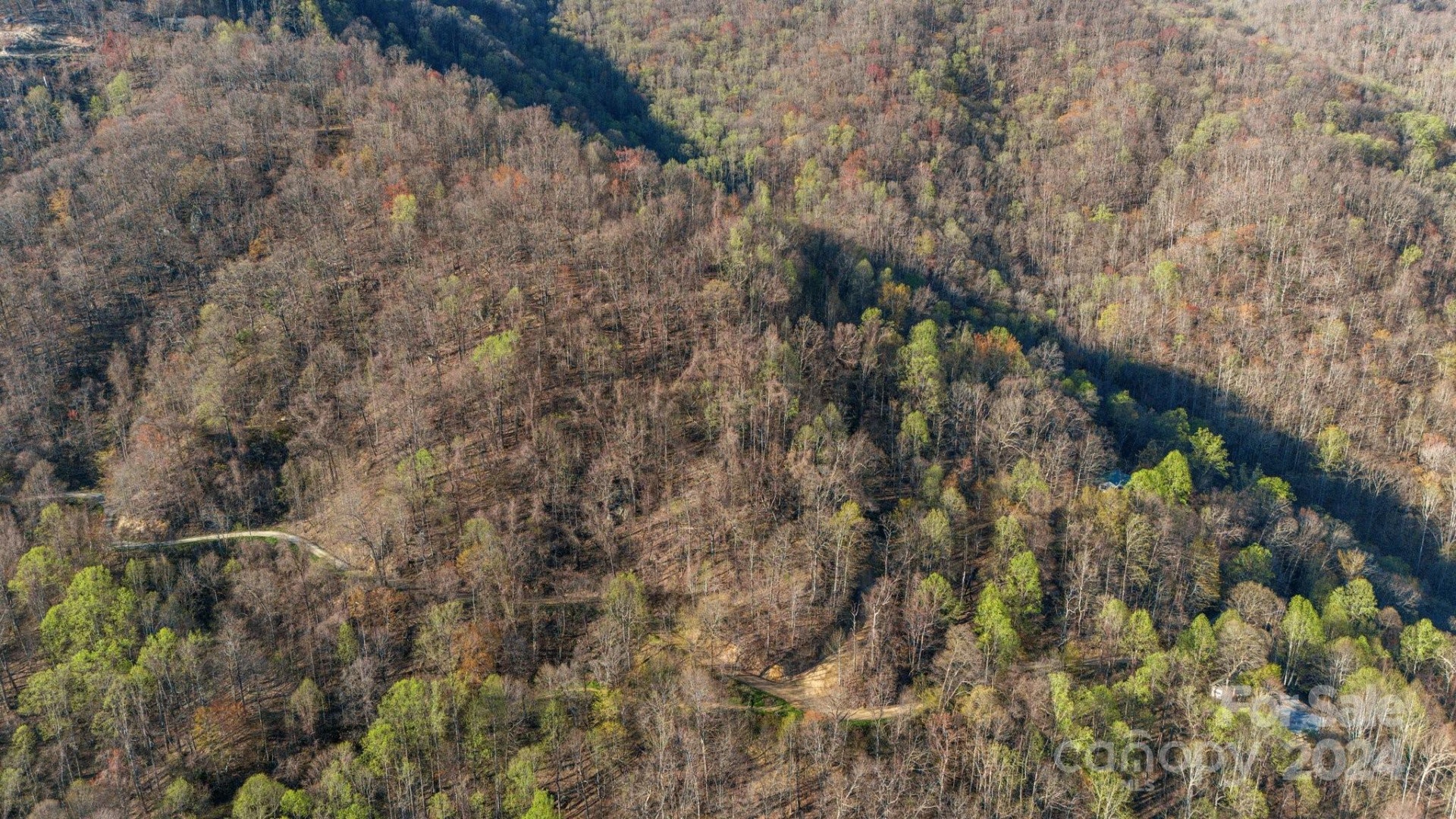 Lot 25 Deer Rock Road - Photo 9