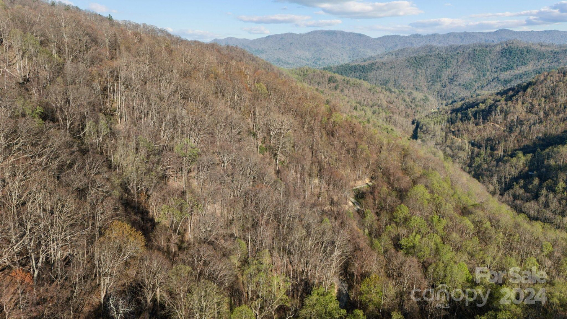 Lot 25 Deer Rock Road - Photo 10