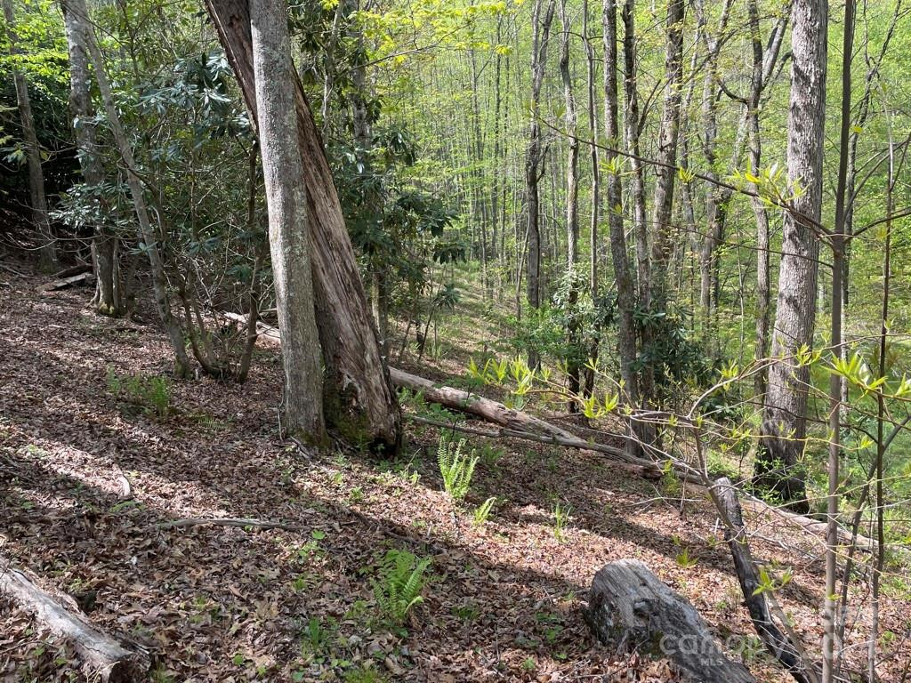 0000 Cawood Lane - Photo 12