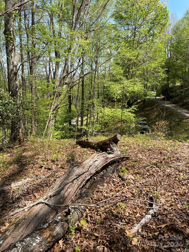 0000 Cawood Lane - Photo 13