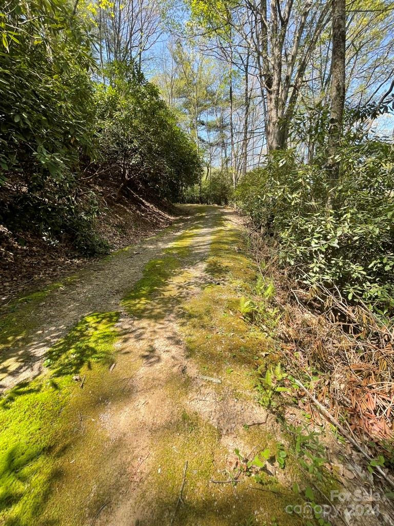 0000 Cawood Lane - Photo 4