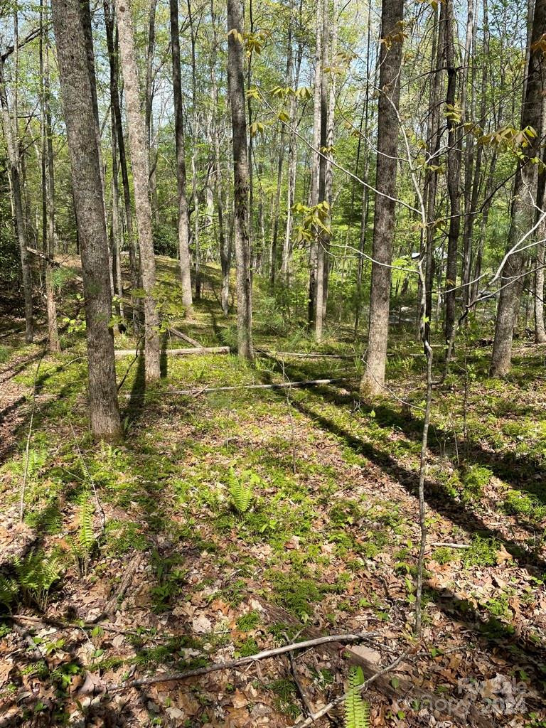 0000 Cawood Lane - Photo 6