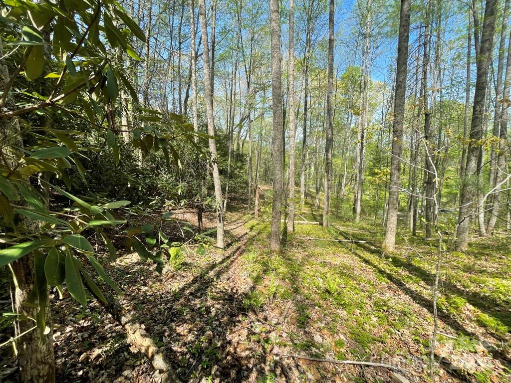 0000 Cawood Lane - Photo 8