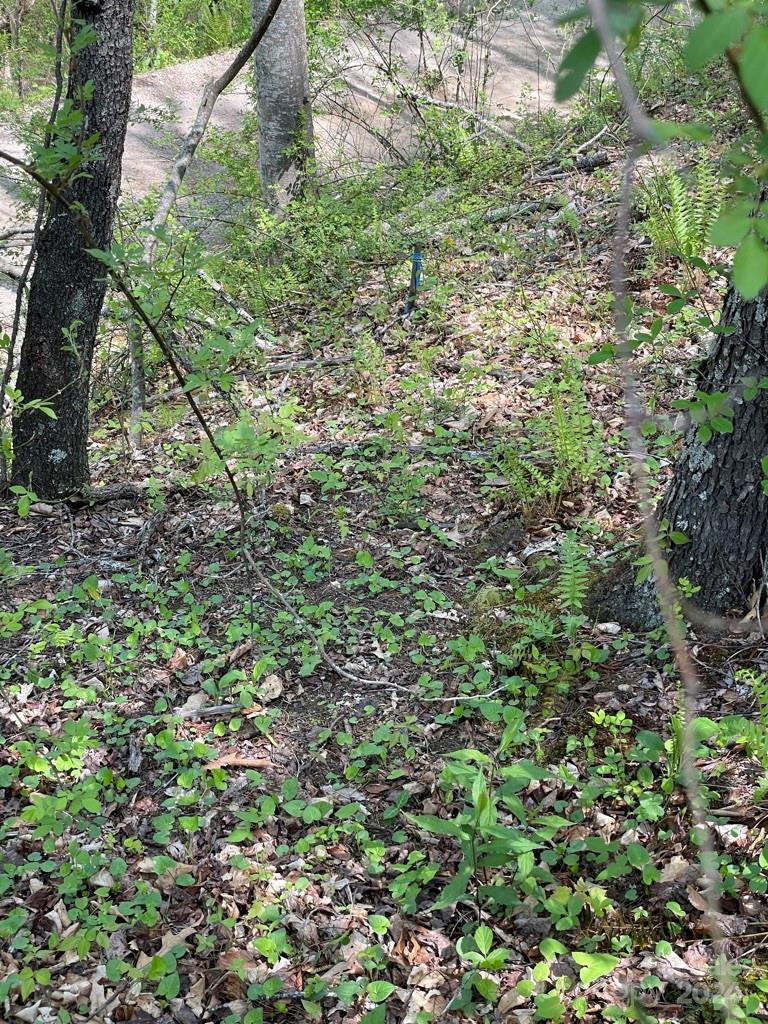 0000 Cawood Lane - Photo 9