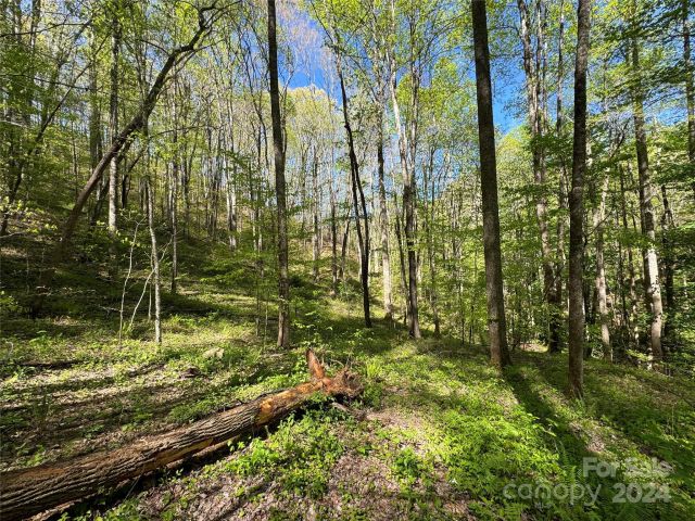 0 East Silvermine Road