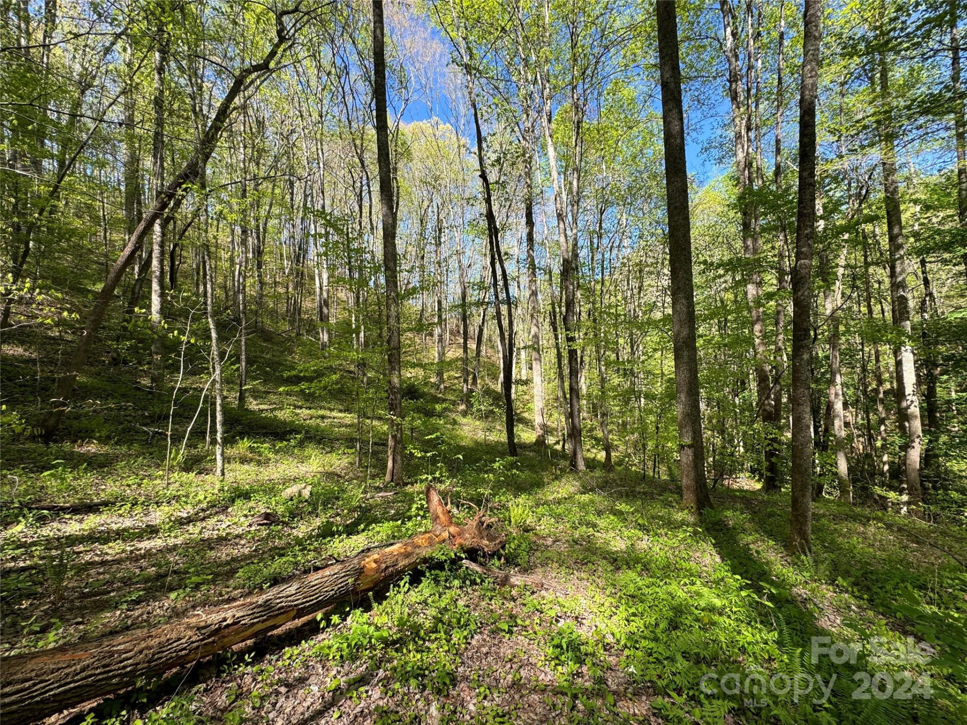 0 East Silvermine Road