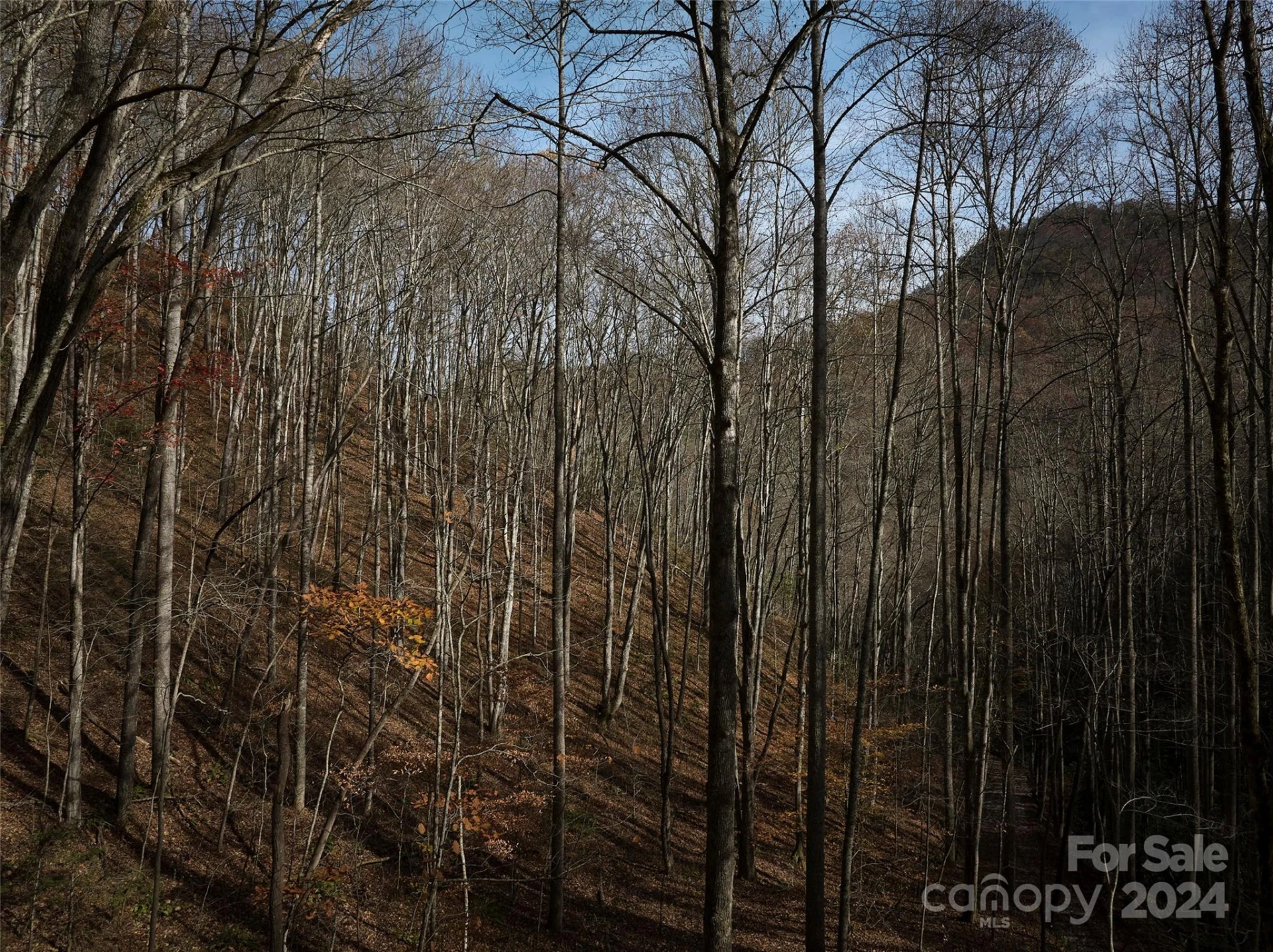0 East Silvermine Road - Photo 15