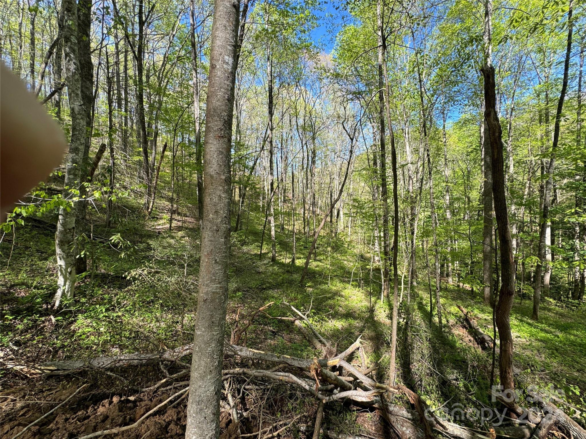 0 East Silvermine Road - Photo 3