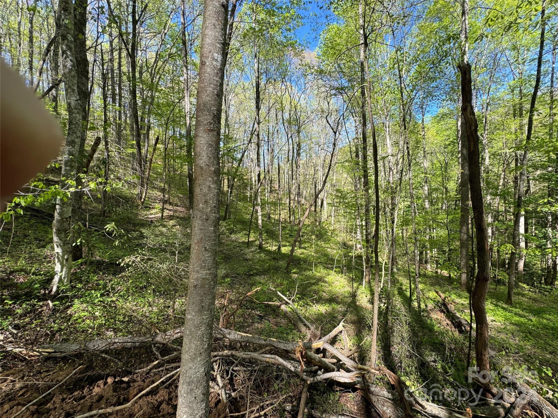0 East Silvermine Road - Photo 3