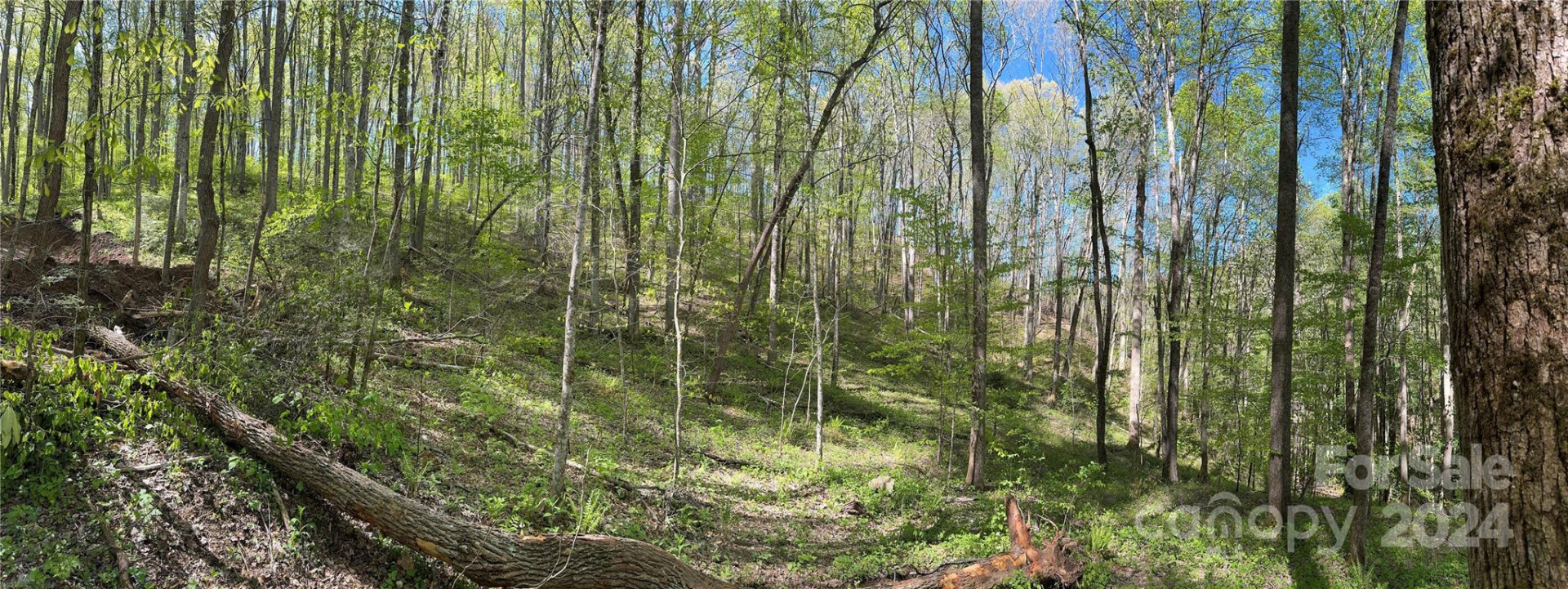 0 East Silvermine Road - Photo 4