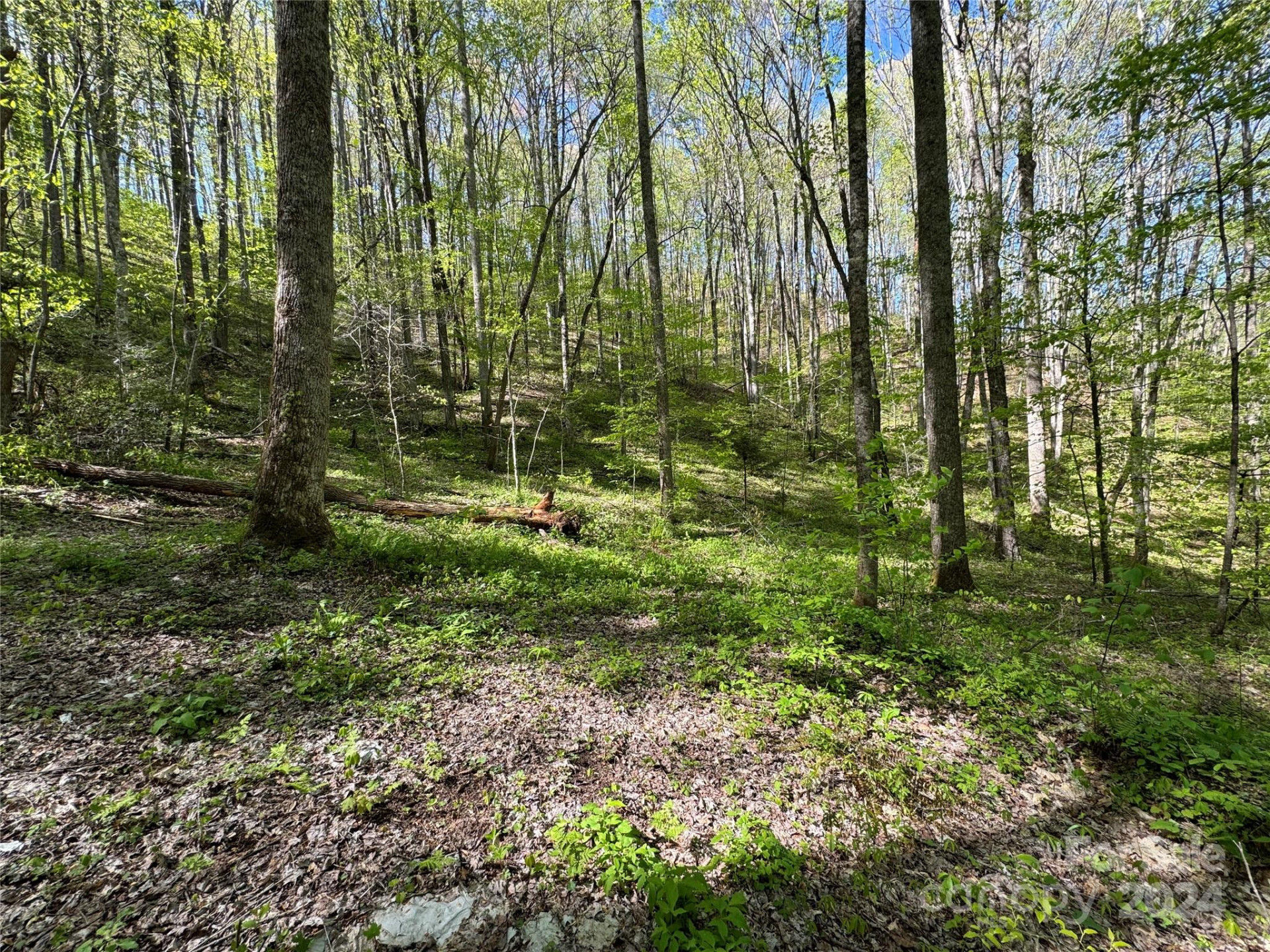 0 East Silvermine Road - Photo 5