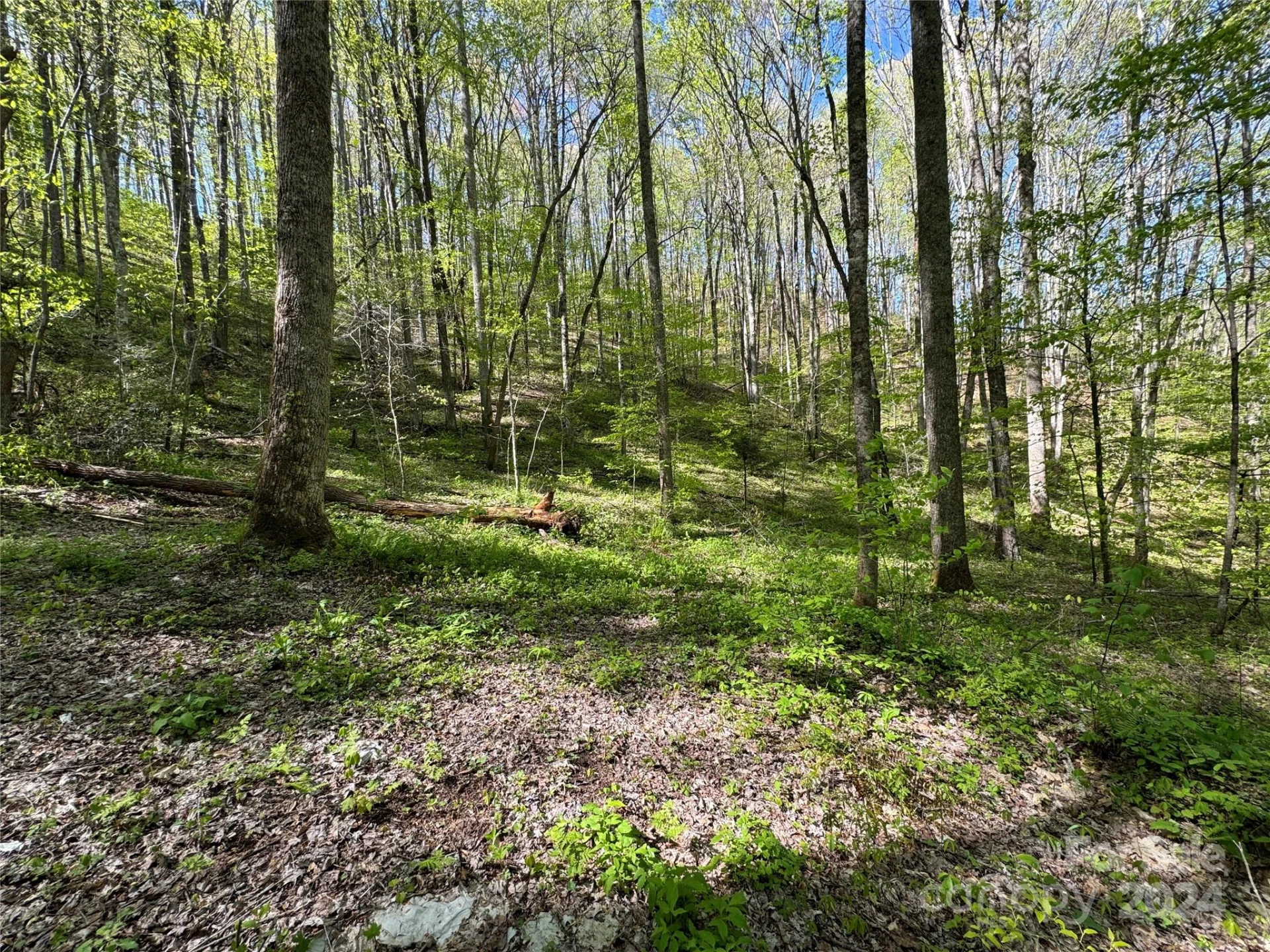 0 East Silvermine Road - Photo 5