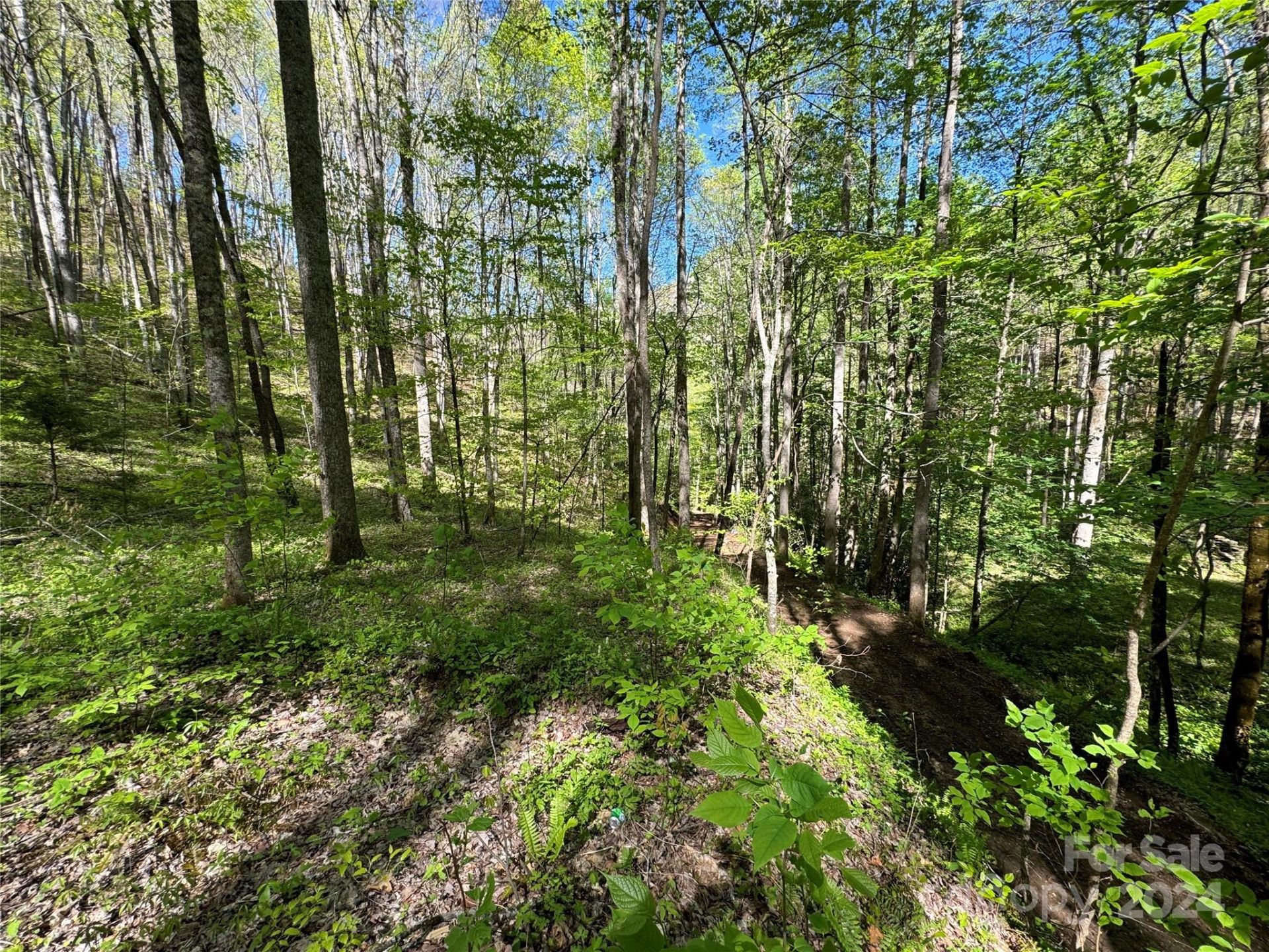 0 East Silvermine Road - Photo 6