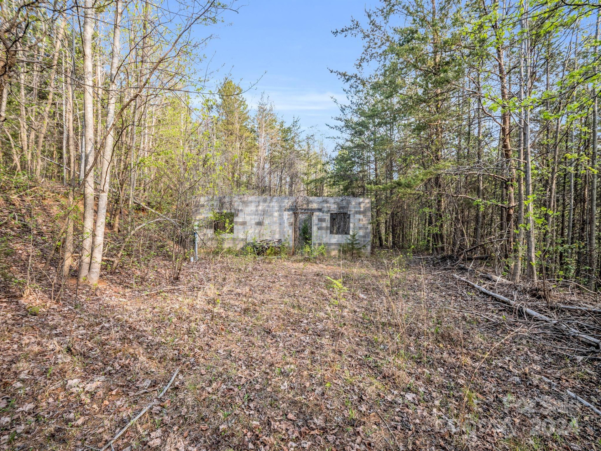 00 Equestrian Drive - Photo 12