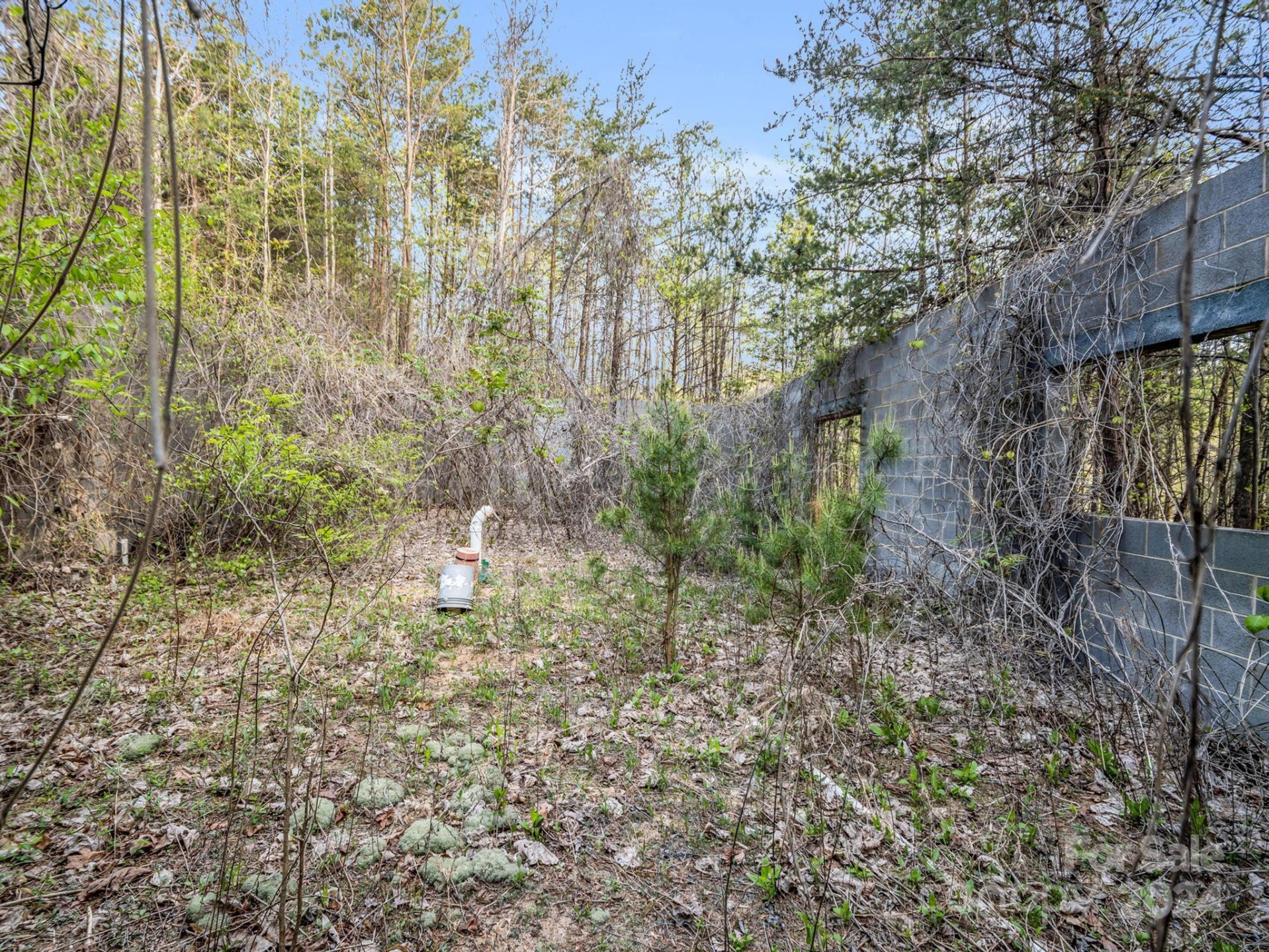 00 Equestrian Drive - Photo 14