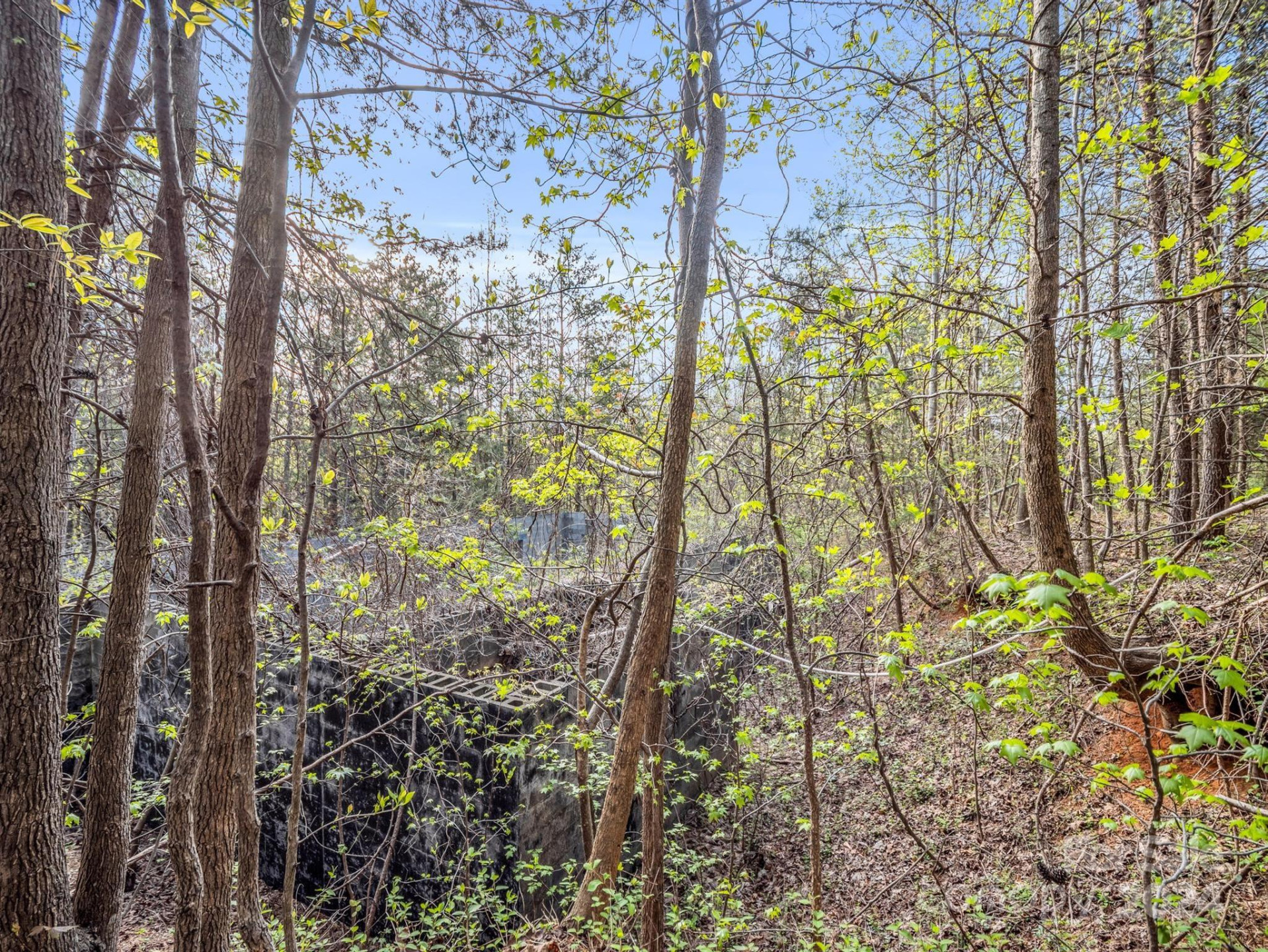 00 Equestrian Drive - Photo 15