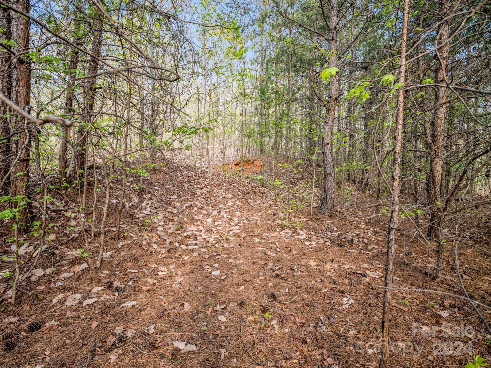 00 Equestrian Drive - Photo 17