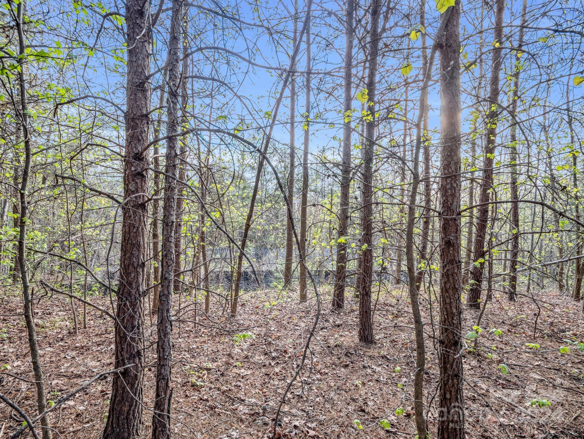 00 Equestrian Drive - Photo 18