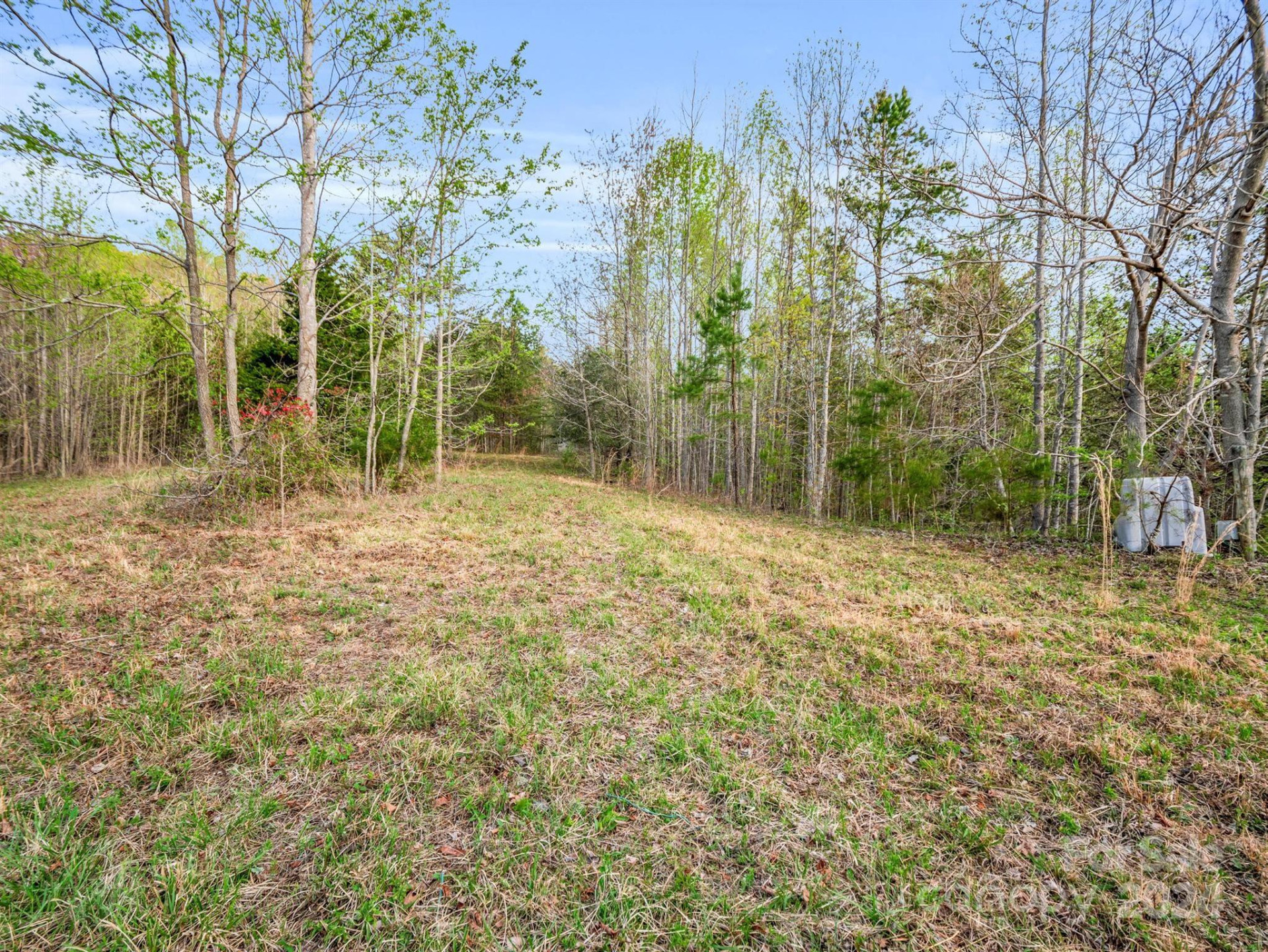 00 Equestrian Drive - Photo 3