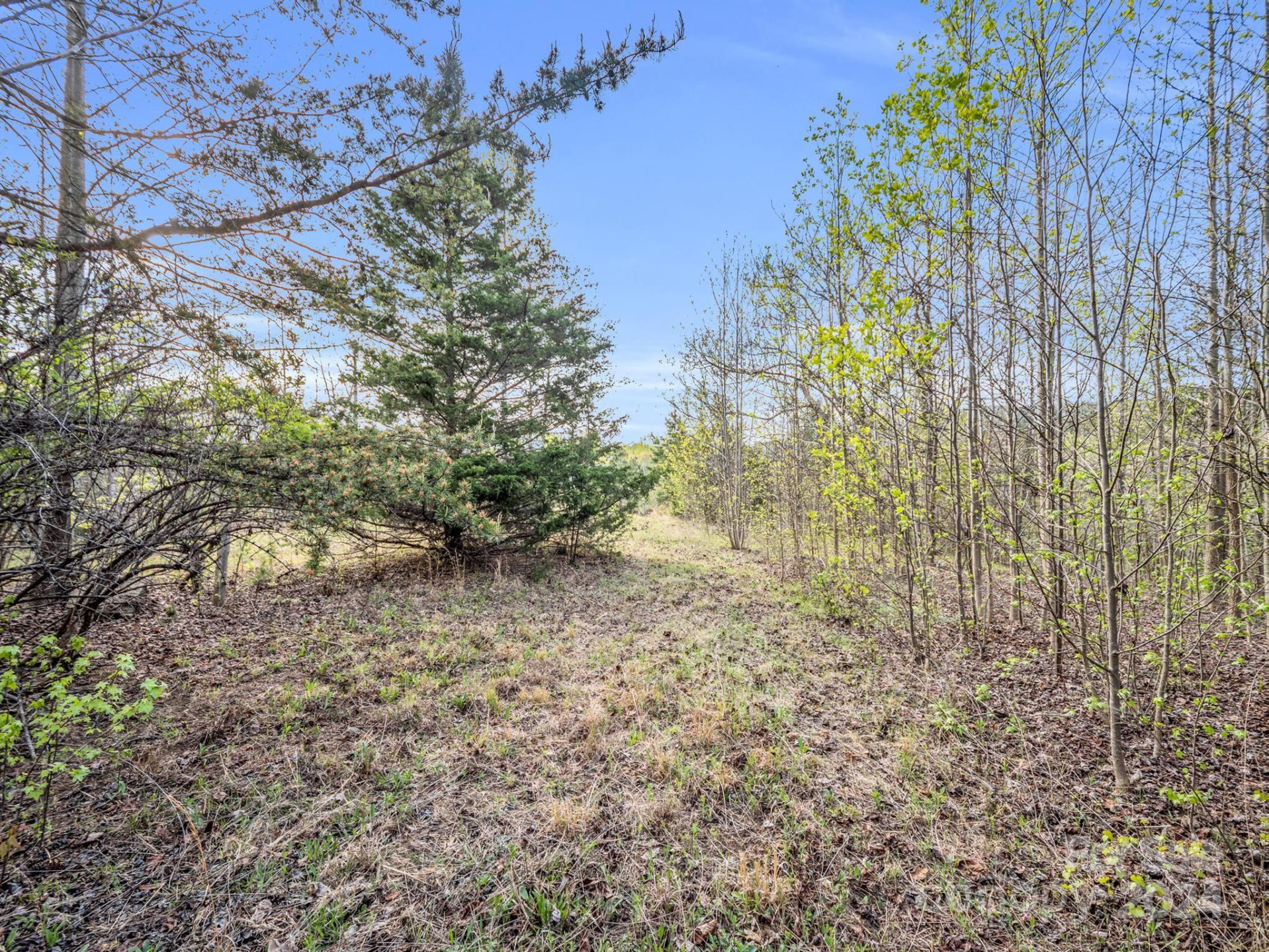 00 Equestrian Drive - Photo 5