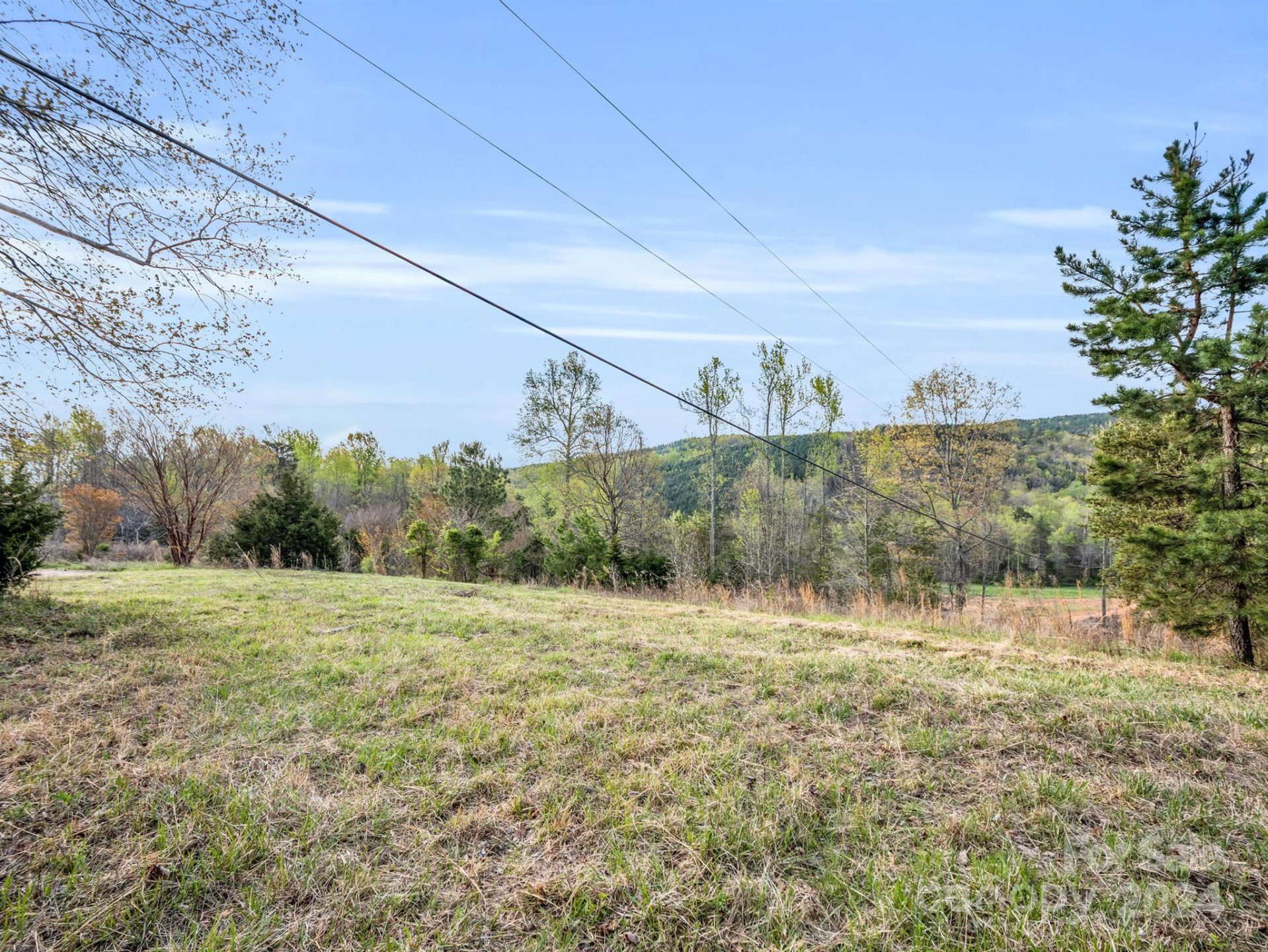 00 Equestrian Drive - Photo 6