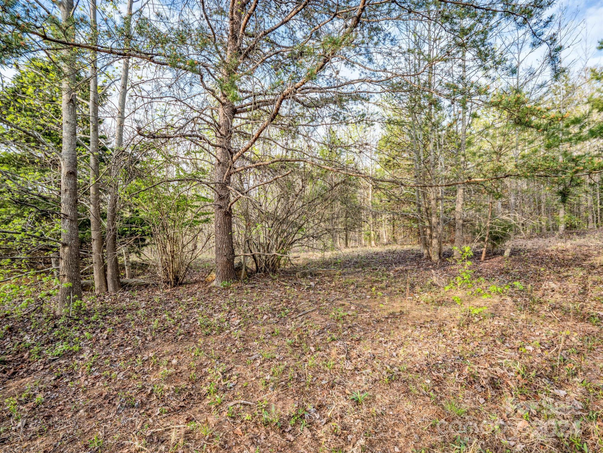 00 Equestrian Drive - Photo 8