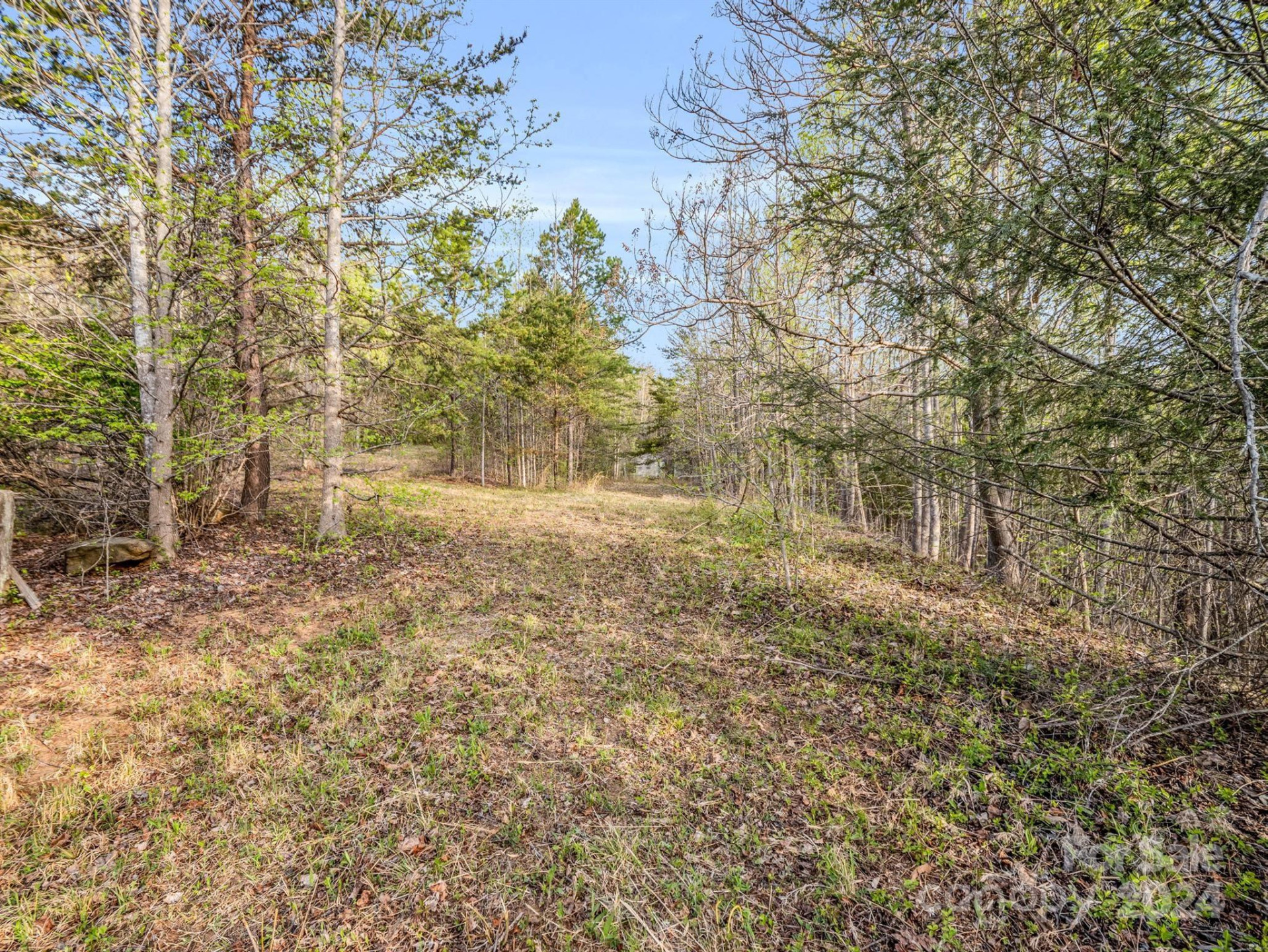 00 Equestrian Drive - Photo 9