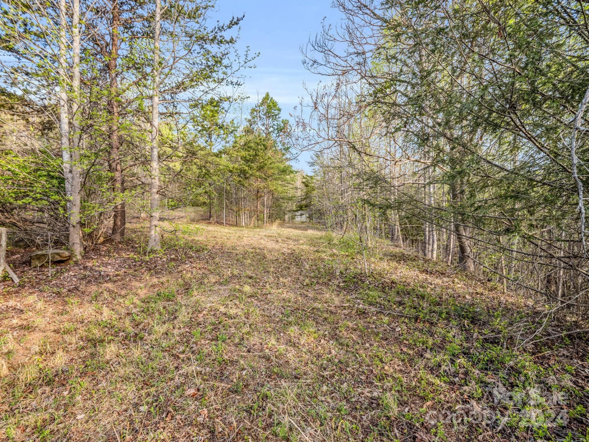 00 Equestrian Drive - Photo 9