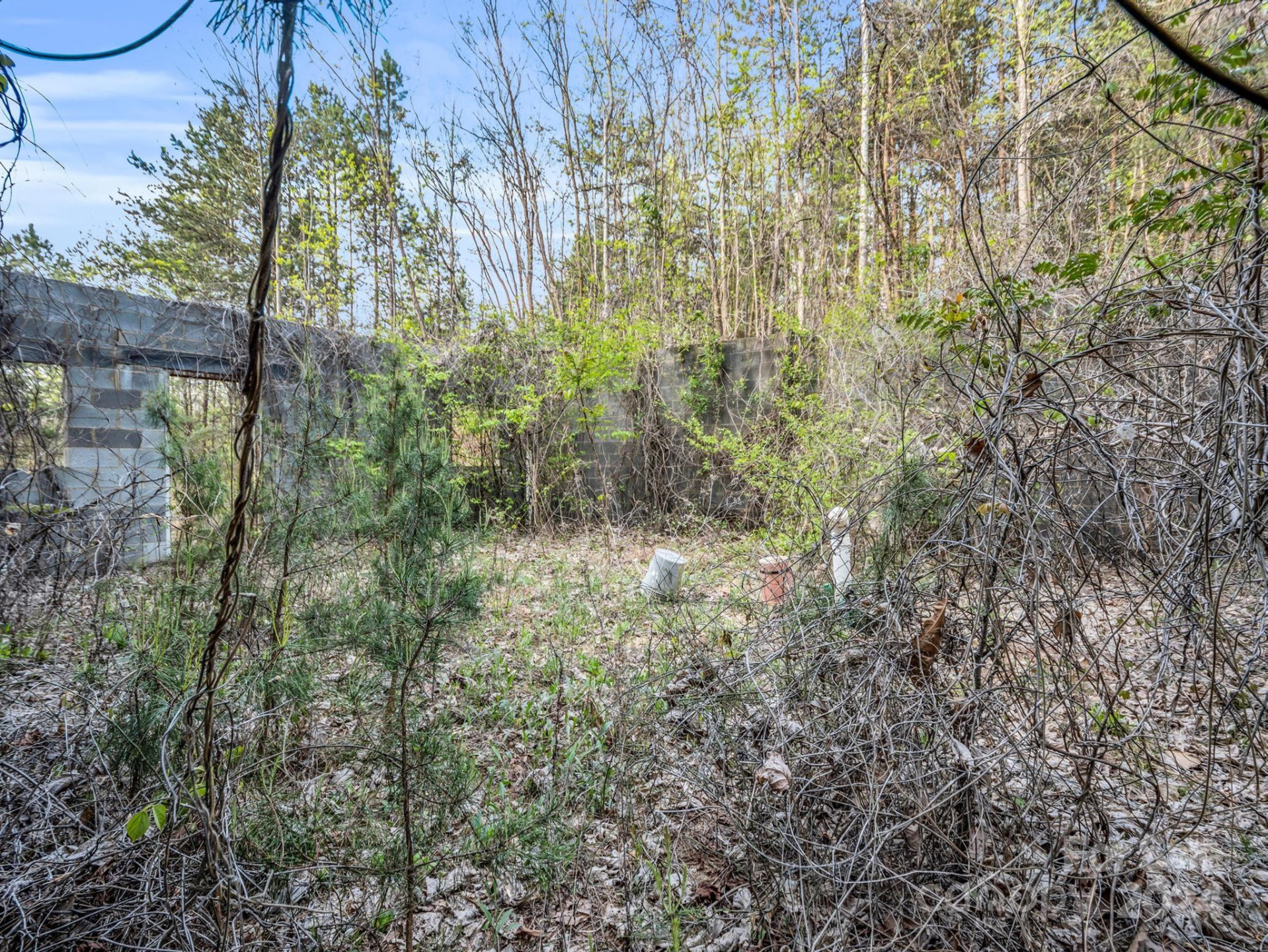 00 Equestrian Drive - Photo 10