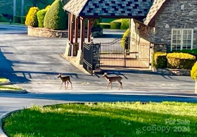 306 Rock Ledge Drive #306 - Photo 12