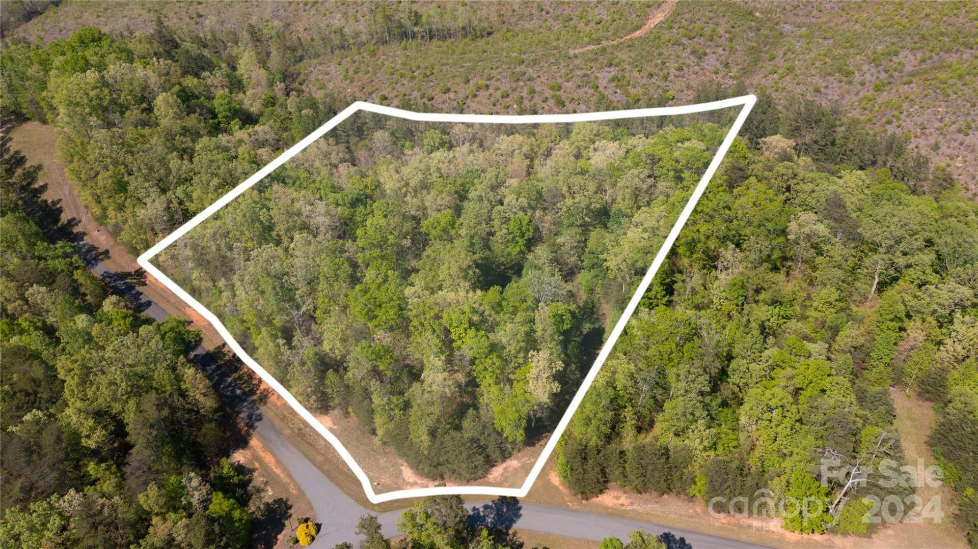 99999 Shady Bark Lane #41 - Photo 2