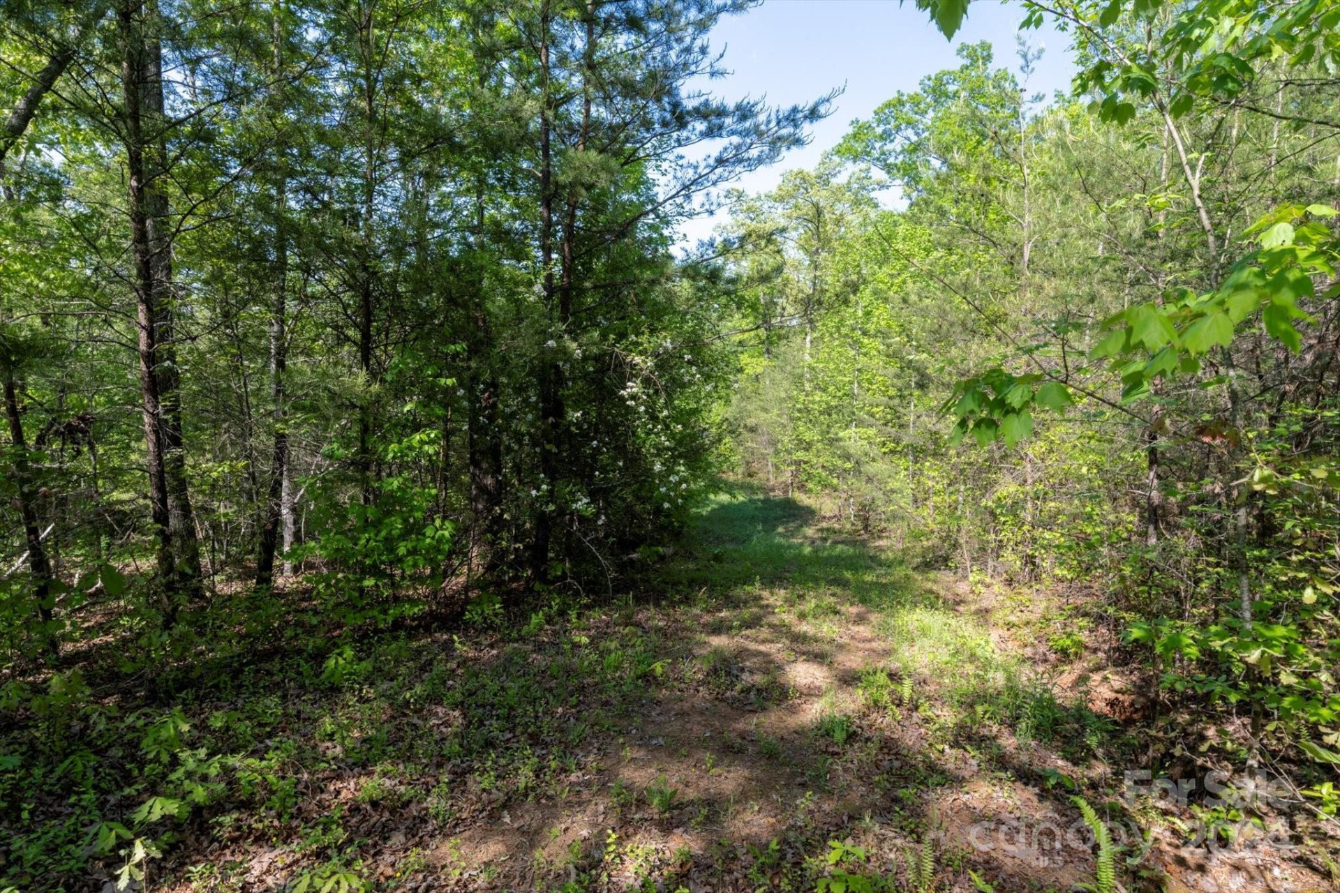 99999 Shady Bark Lane #41 - Photo 11