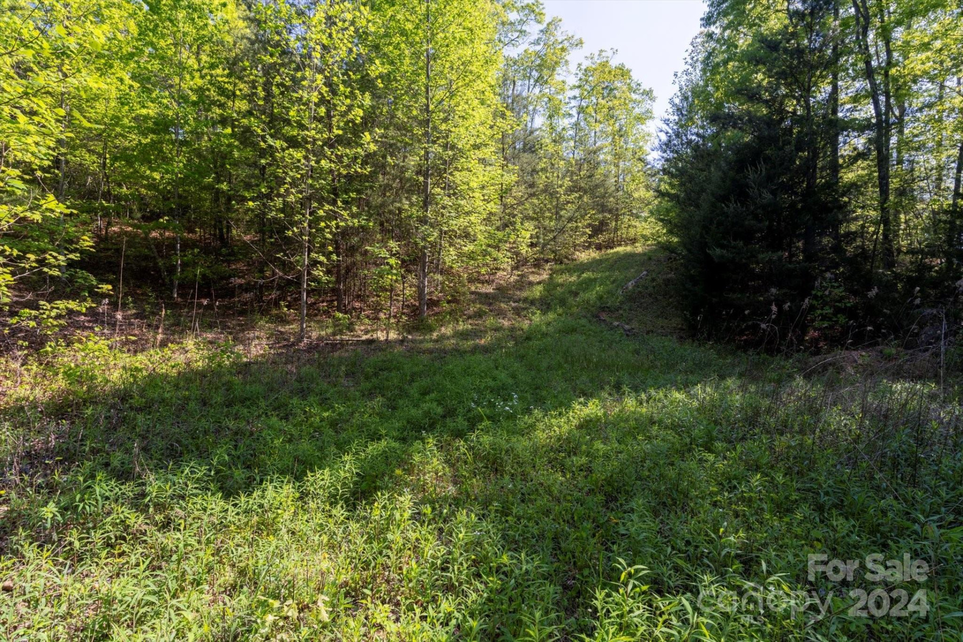 99999 Shady Bark Lane #41 - Photo 12