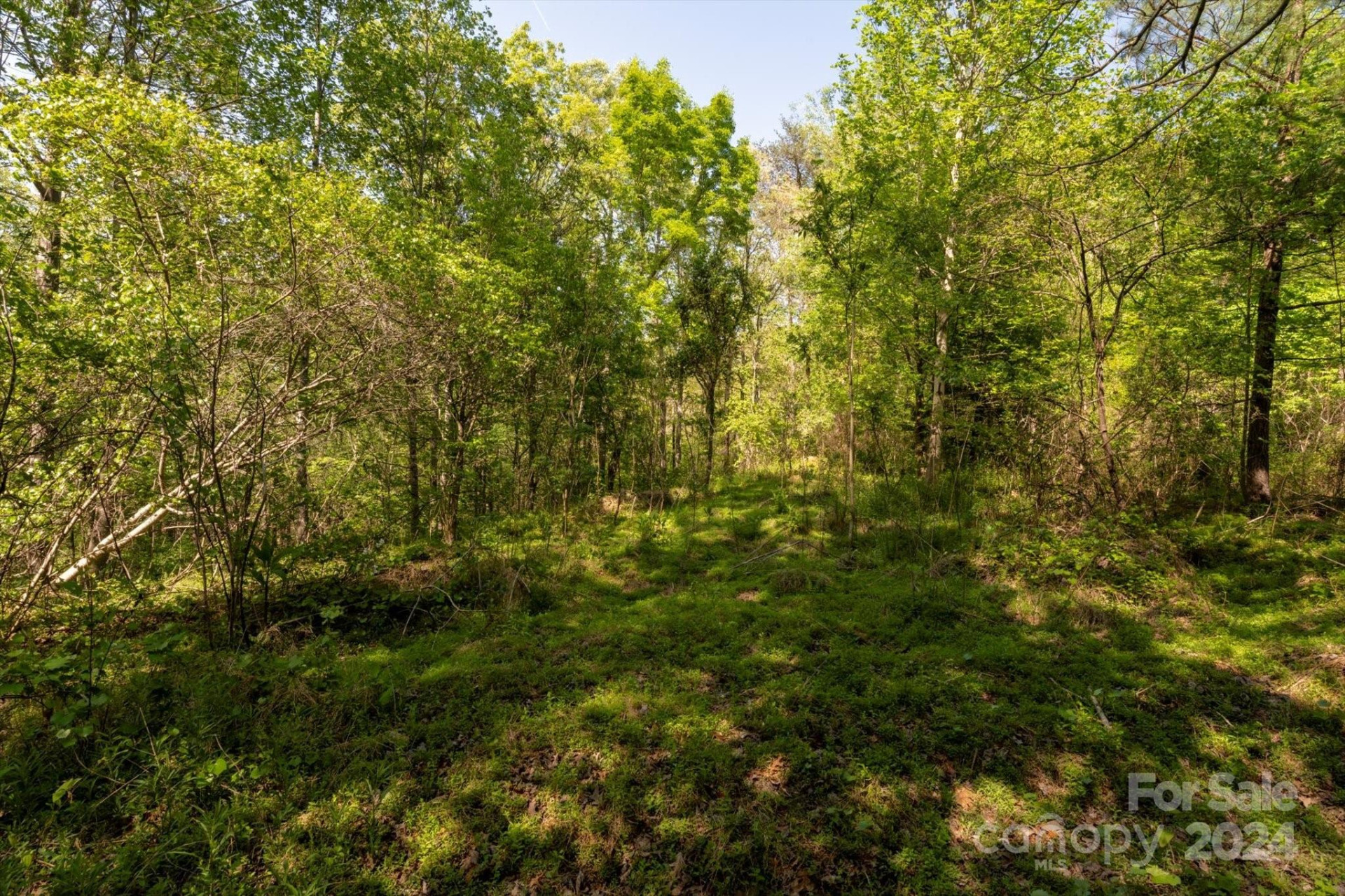 99999 Shady Bark Lane #41 - Photo 13