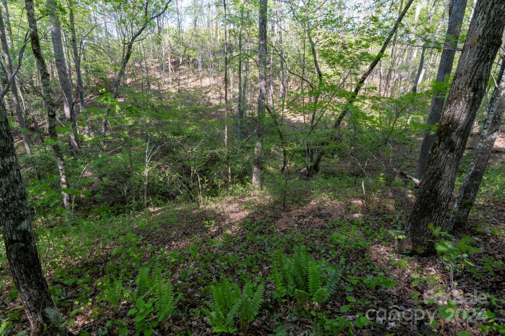 99999 Shady Bark Lane #41 - Photo 14