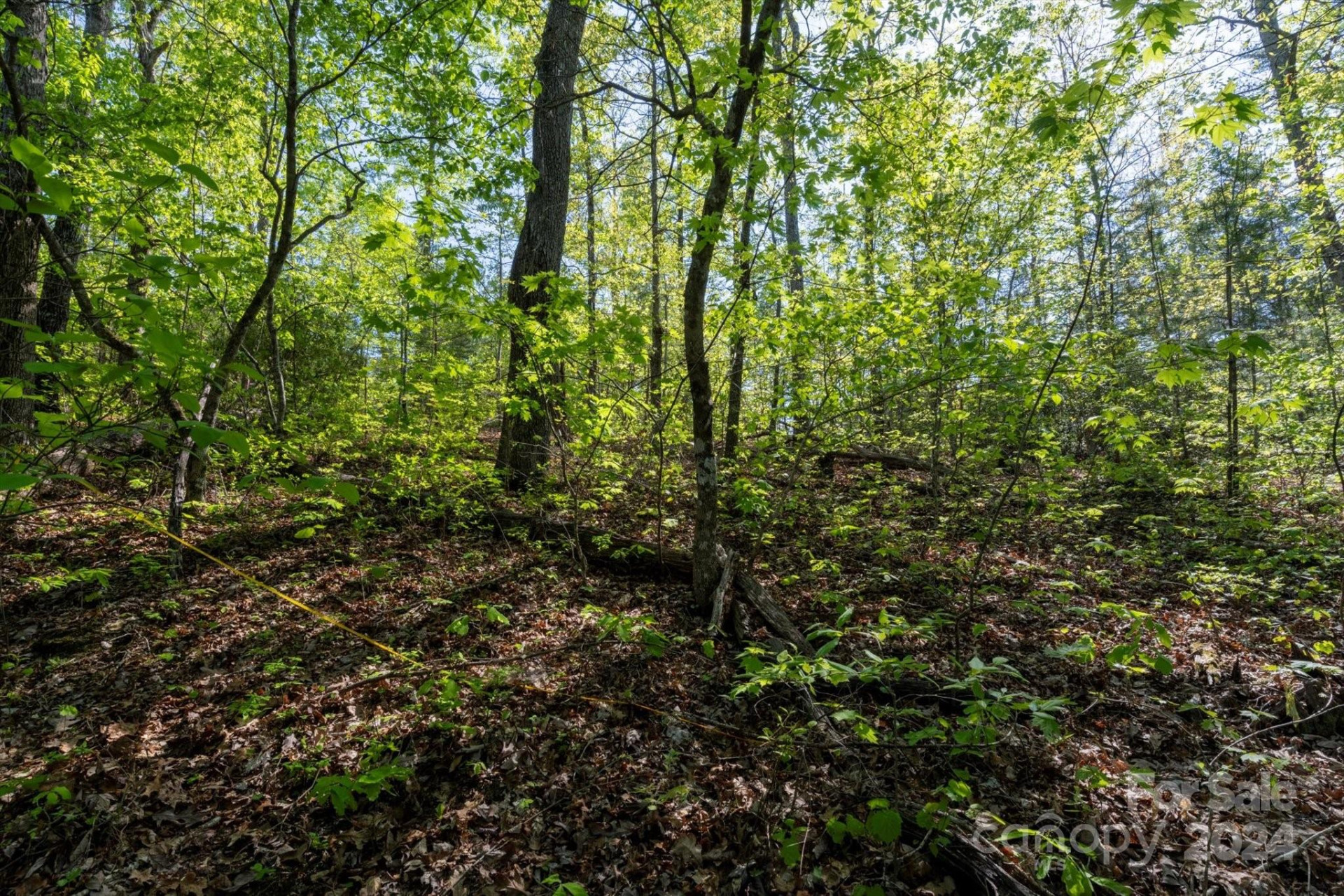 99999 Shady Bark Lane #41 - Photo 15